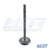 WSM Intake Valve Polaris 400 - 500 - 96-14 - 017-401-01, 3085349