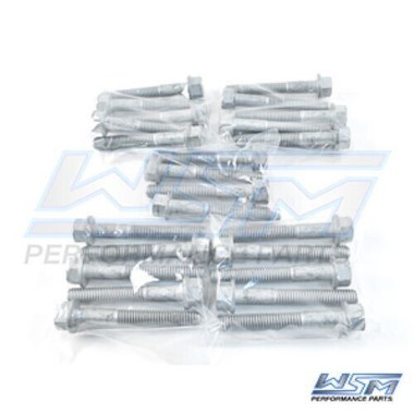 WSM Bolts, Head Mecrury / Mariner 110 - 240 Hp V6 24 Pack 820-100-24, 10-878217