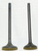 WSM Engine Valve Kit Honda 300 TRX / TRX-FW 88-00 - 017-020, 14711-HC4-003, 1472
