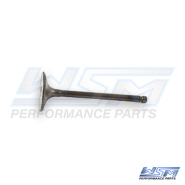 WSM Intake Valve Polaris 550 Sportsman 09-14 - 017-402-01, 3090118