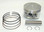 WSM Honda 400 TRX-FW 1995-2003 Piston Kit 50-220-04K .25mm SIZE OE 13101-HM7-000
