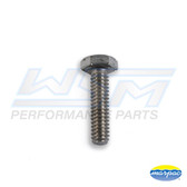 WSM Stainless Steel Bolt, Hex Cap 1/4'' x 3/4'' - 014-945