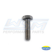 WSM Stainless Steel Bolt, Hex Cap 1/4'' x 1.5'' - 014-942
