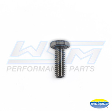 WSM Bolt, Hex Cap 1/4'' x 1'' Stainless -  014-940