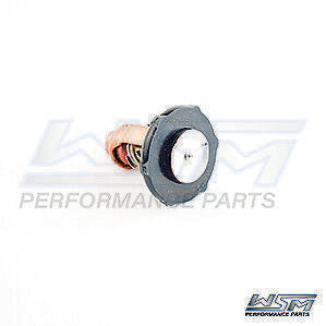 WSM THERMOSTAT: YAMAHA 75-90 HP 4 STROKE 2016-UP - 775-240, 18-3641, 6FP-12411-0