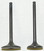 WSM Engine Valve Kit Honda 400 TRX-FW 95-03 - 017-024, 14711-HM7-000, 14721-HM7-