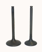 WSM ENGINE VALVE KIT HONDA 350 TRX-FM / TM '00-'06 - 017-029