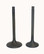 WSM ENGINE VALVE KIT HONDA 350 TRX-FM / TM '00-'06 - 017-029