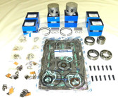 WSM Yamaha 150-225 HP Rebuild Kit w/ Vertical Reeds 100-270-20,  6G5-11642-0