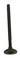 WSM Exhaust Valve Honda 400 / 500 TRX 99-11 - 017-025-02, 14721-KCY-670