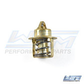 WSM Thermostat OMC 2.5L / 3L, 160 deg 775-540, 18-3558, 3853799, 778064, 982554