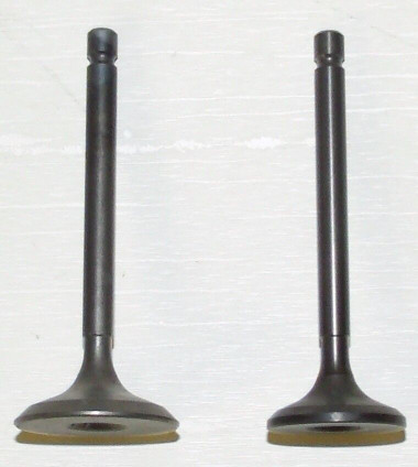 WSM Yamaha 200-250 Engine Valve Kit '83-'09 017-301