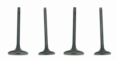 WSM Engine Valve Kit Honda 450 TRX-R 04-05 - 017-028, 14711-HP1-670,  14721-HP1-