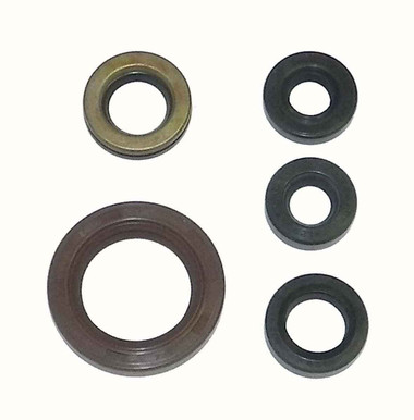 WSM 450 LTR 2006-2009 Engine Oil Seal Kit - 21-400