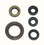 WSM 450 LTR 2006-2009 Engine Oil Seal Kit - 21-400