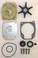 SIERRA WATER PUMP KIT COMPLETE JOHNSON EVIN 40 - 65 HP E-TEC 06-'12, 18-3453