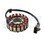 WSM COIL, ARMATURE / STATOR: POLARIS 750 2004 - 004-206-06, 0451486