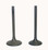 WSM Engine Valve Kit Honda 450 TRX Foreman 98-04 - 017-030, 14711-HN0-A00