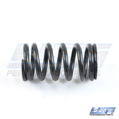 WSM Valve Spring, Intake / Exhaust Yamaha 1800 / 1900 - '08-24 - 010-033-01