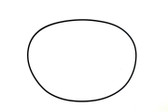 WSM Kawasaki 650-1100 Generator O-Ring '86-'11 008-418, 92055-3712