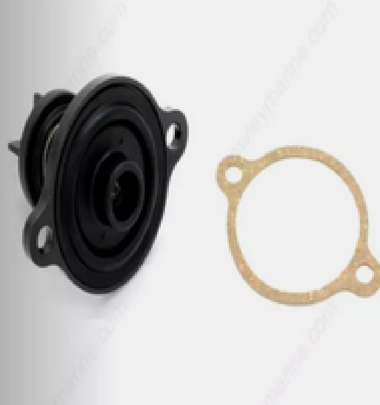 WSM Poppet Valve Assembly Mercury 135 / 400 Hp Verado , 785-112, 888913A01