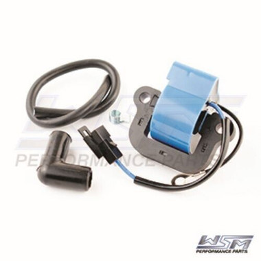 WSM IGNITION COIL: JOHNSON / EVINRUDE 9.9 / 15 / 40 HP 74-76 375-5196, 502880