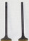 WSM Engine Valve Kit Suz 160 LT 89-01 - 017-206, 12912-02C00, 12911-02C00