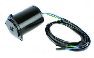 Yamaha 50-90 / 115 / 150-200 Hp Tilt Trim Motor PH200-T037, 688-43880-11-00