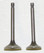 WSM Honda 70 ATC / TRX 4 Trax Engine Valve '78-'87, Kit 017-001