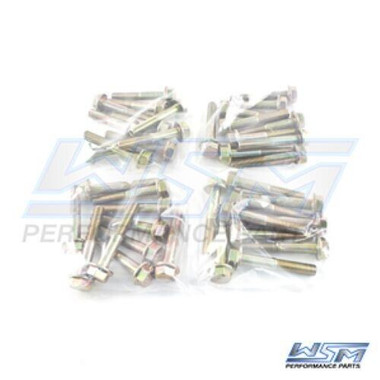 WSM HEAD BOLTS MERCURY 110 - 300 HP V6 2.5L / 3L (40 PACK), 820-105-40, 10-8M00