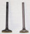 WSM Honda 90 TRX 1993-2023 Engine Valve Kit 017-023