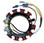 CDI Johnson / Evinrude 150-235 Hp 35 Amp Stator - 173-3668, 0582574, 0583050,