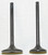 WSM Honda 400 TRX-FW 1995-2003 Engine Valve Kit 017-024