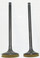 WSM Honda 650 TRX Engine Valve Kit  '03-'22 017-027