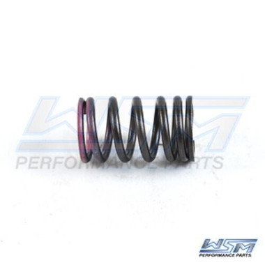 WSM VALVE SPRING YAMAHA 75 - 90 HP 4-STROKE 16-22 - 120-302, 6FP-12113-00-00