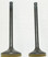 WSM Engine Valve Kit Yamaha 350 / 400 93-14 - 017-308, 1UY-12111-01-00, 1UY-1212