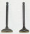 WSM Engine Valve Kit Yamaha 125 Breeze / Grizzly 89-11 - 017-310, 5AP-12111-01-0