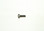 WSM 5 X 16 Stainless Socket Cap Bolt 014-030