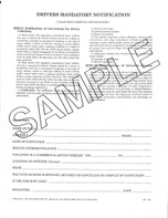 Notification of Traffic Violation