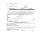 Mid-Size Daily Log, 2-Ply, Carbonless, w/Simplified DVIR - Retail Packaging