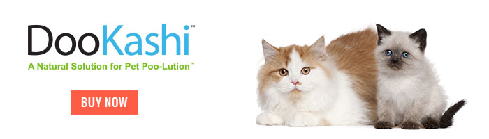 DooKashi For Cats Mini Banner