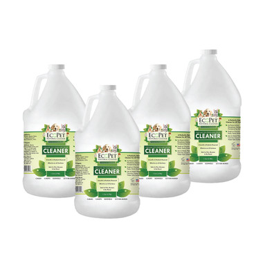 Looking For a Deal On A Lot of Cleaner? Buy 4: One Gallons  For the Price of 3! Choose from Pack of  Mint Scented or Unscented  