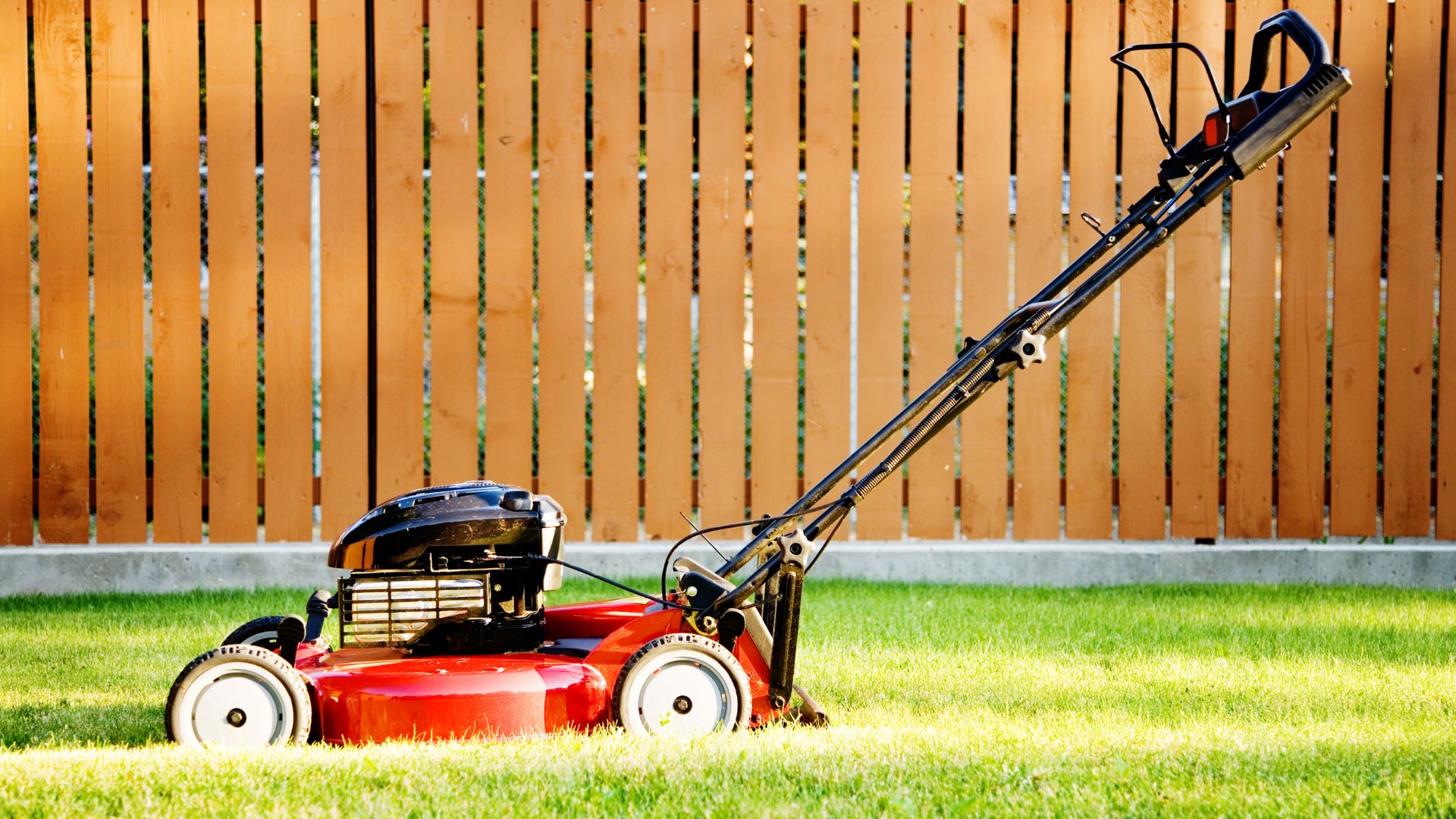 Importance of Lawn Mower