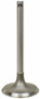 INTAKE VALVE 119-9036