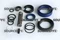 Crown Seal Kit CR 819934 for Crown