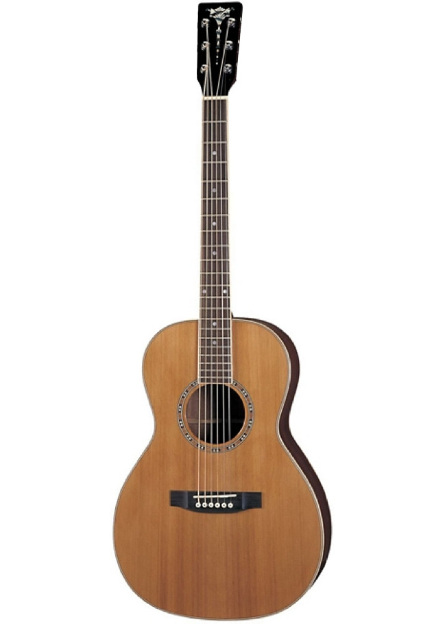 Banjo tuners sales for guitar