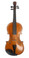 Lion of Ireland Special Edition Fiddle by D. Rickert Musical Instruments 1