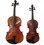 Rickert Tertis Body Tenor Viola (one octave lower than violin) 15.5 inch body size compared to regular violin