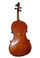 Octave Viola by Donald Rickert (back) 1