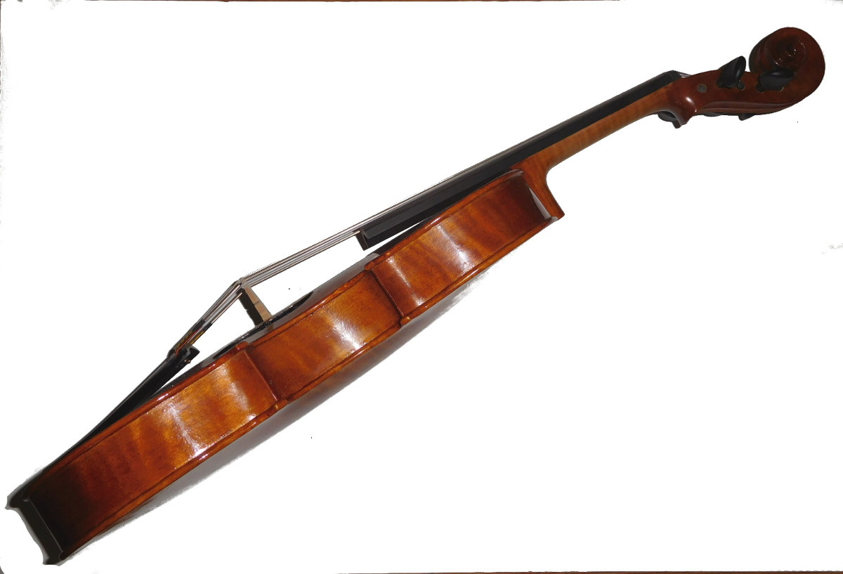 viola Franz Werner Concert Viola - Southwest Strings